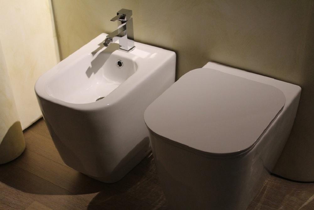 خرید بیده برای خریداران تازه کار